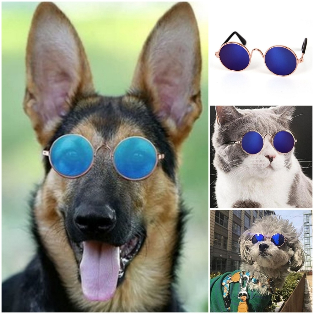 Retro Inspired Small Pet Sunglasses 🕶🐶🐱🕶